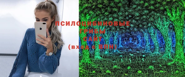 шишки Алзамай
