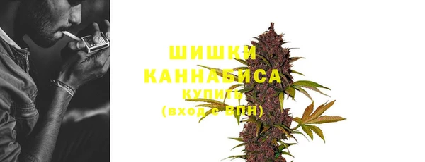 шишки Алзамай